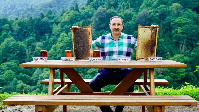 Raksta foto