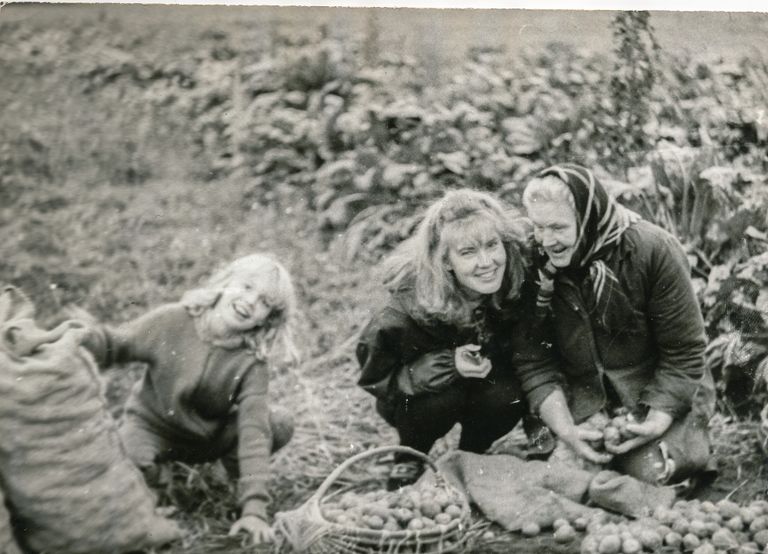 Бабушка Марта с внучками Кристийной и Тийной на картофельном поле. 