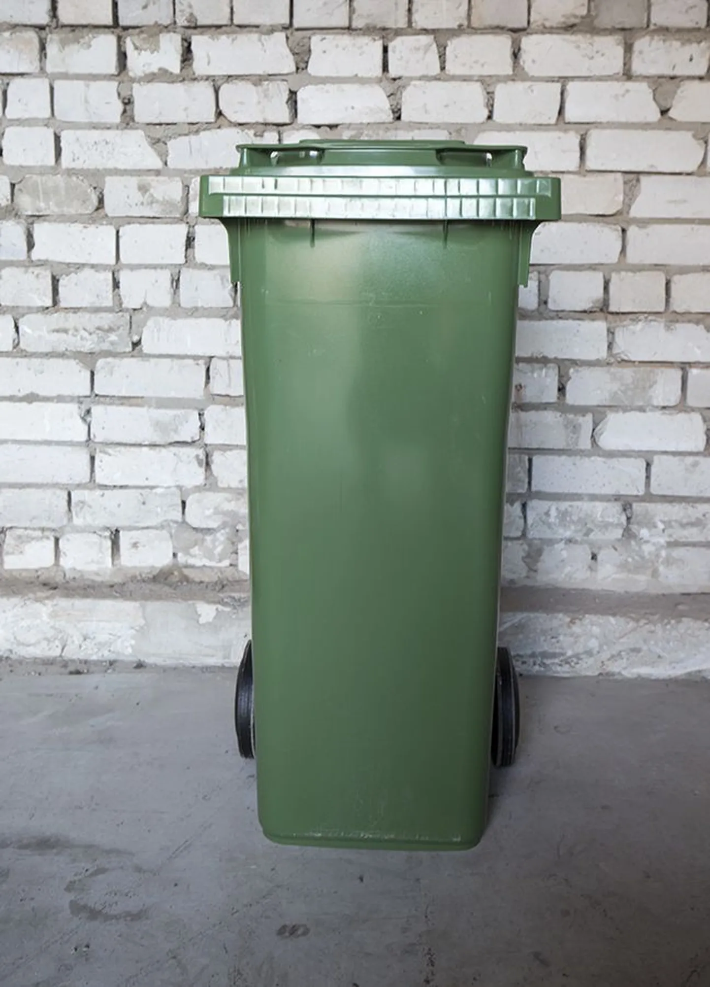 Artikli foto