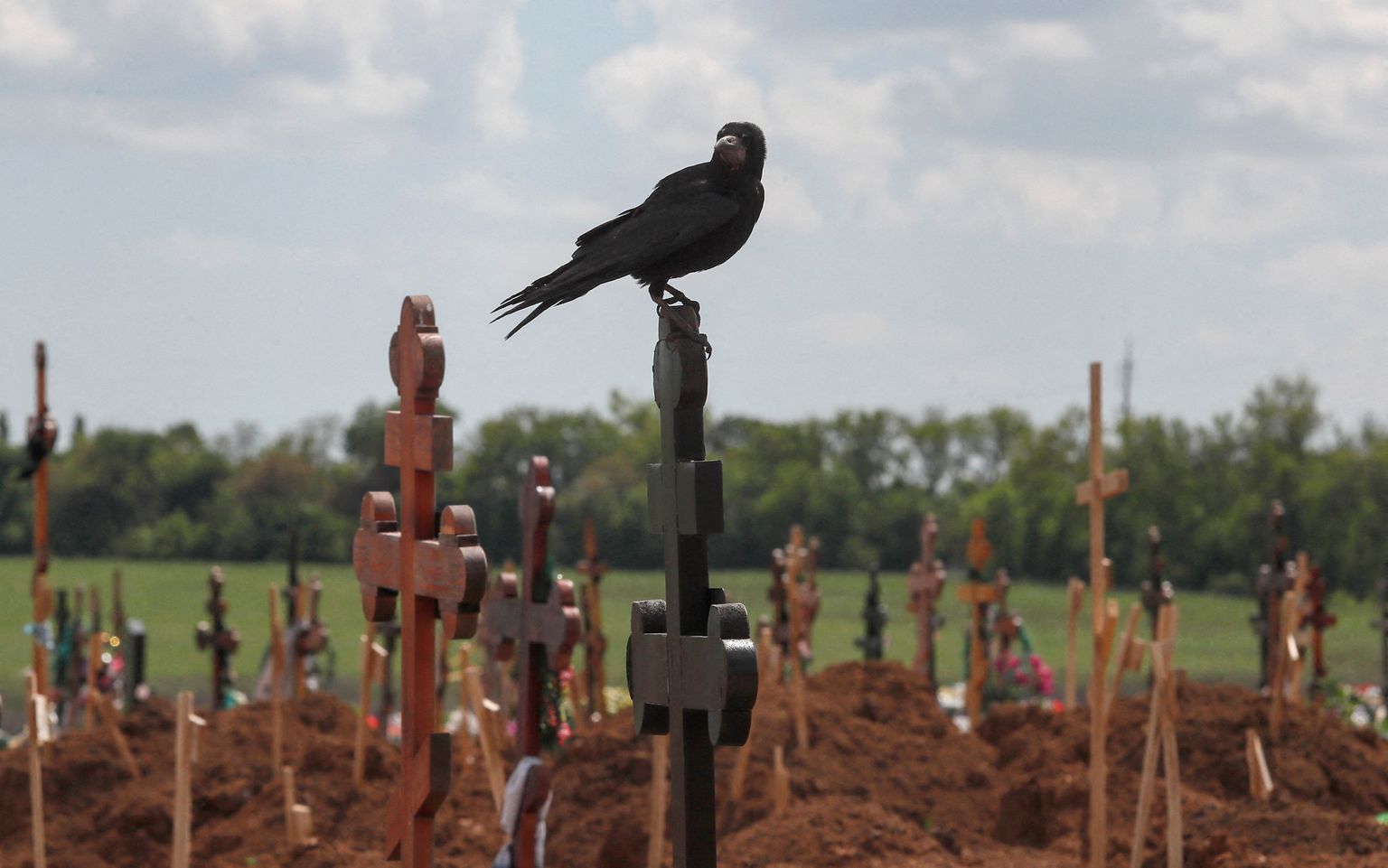 Птица на кресте среди новых могил на кладбище в поселке Старый Крым под Мариуполем, Украина, 15 мая 2022 года