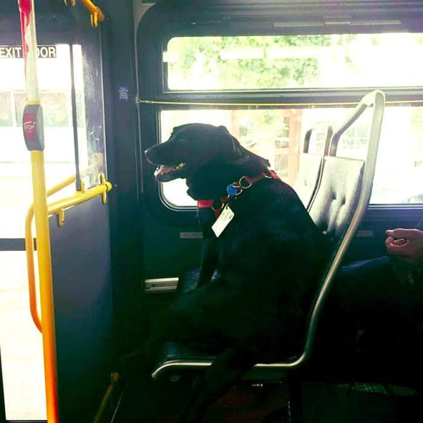Eclipse on tuttav kõigi bussijuhtidega