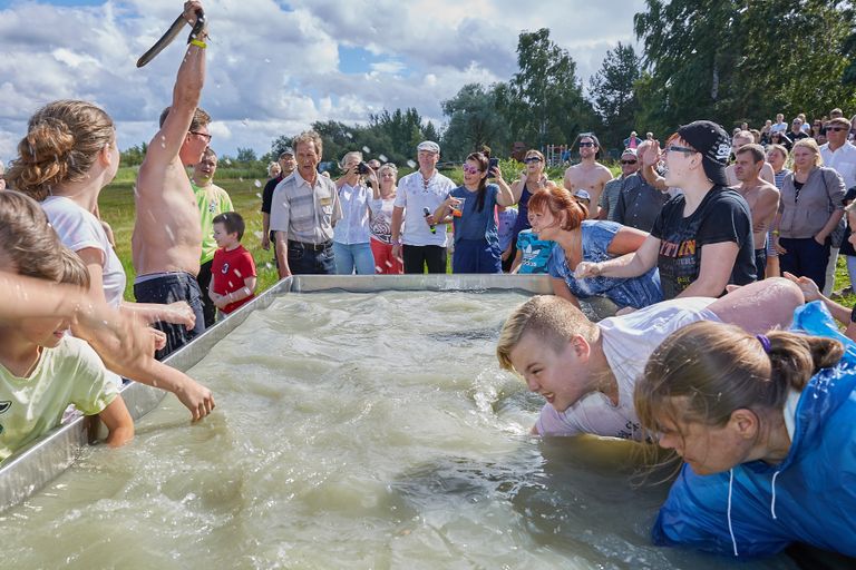 Ühepäevasel festivalil võisteldakse ka basseinist kätega angerja püüdmises.