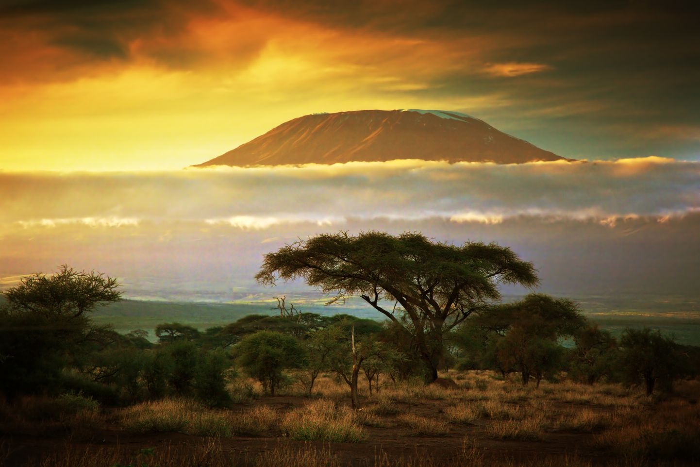 Aafrika kõrgeim mägi Kilimanjaro. Vaade Amboseli savannast.