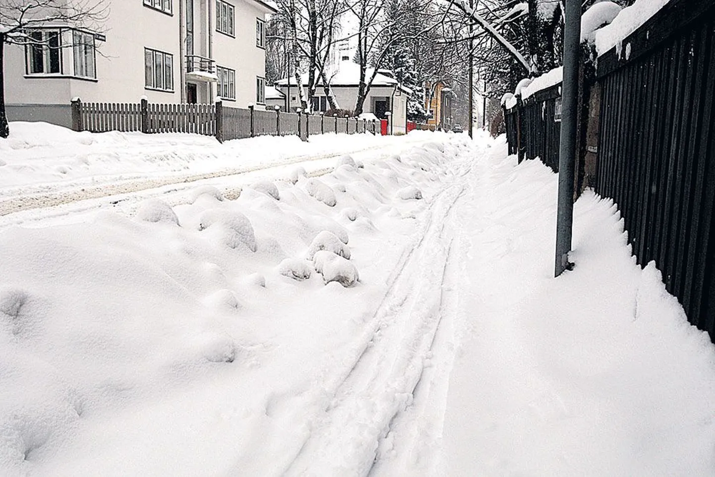 Suusarada Tähtveres Jakobsoni tänaval.