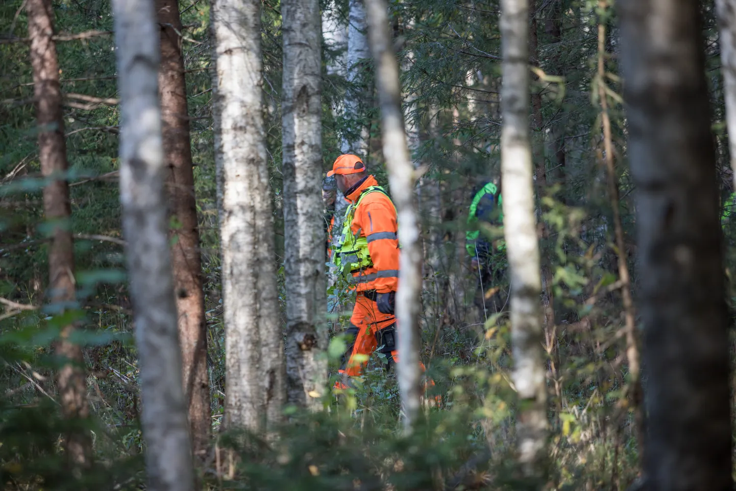 Politsei ja sihtasutuse Kadunud operatiivse otsingugrupi OPEREG liikmed otsisid möödunud aastal eakat meest. Foto on illustratiivne!
