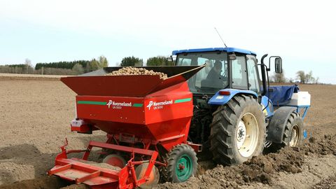 Tugev hinnasurve: miks Eesti põllumehed ikka veel kartulit kasvatavad