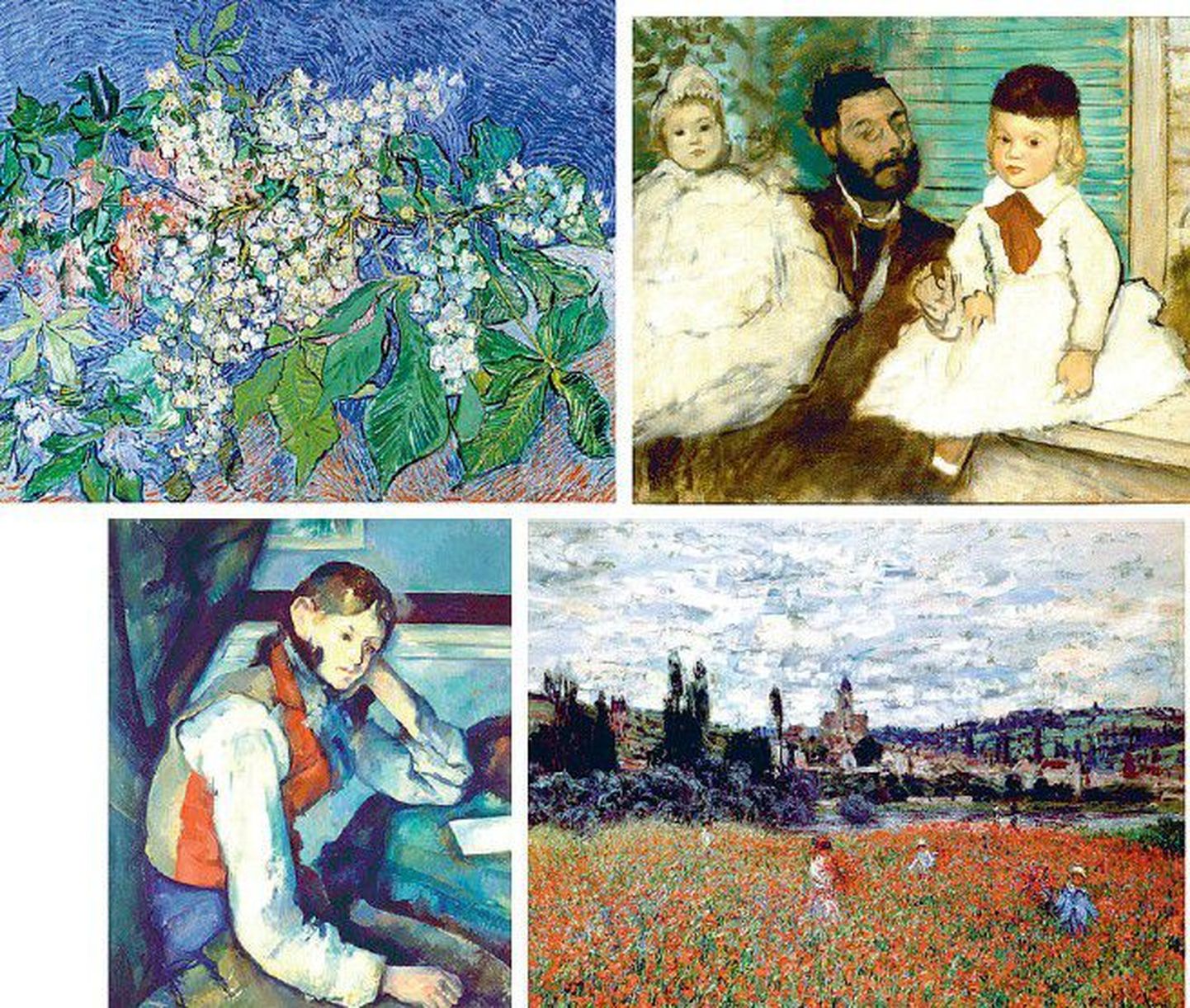 Varaste saagiks langesid (ülalt vasakult kellaosuti liikumise suunas) Vincent van Goghi «Õitsvad kastanioksad» (1890), Edgar Degas' «Krahv Lepic ja tema tütred» (1871), Claude Monet' «Moonid Vétheuil' lähedal» (1879), ning Paul Cézanne'i «Poiss punases ve
