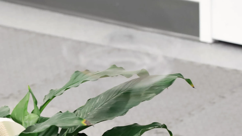 VAATA VIDEOT ⟩ See droon muutub nähtamatuks otse te silme all