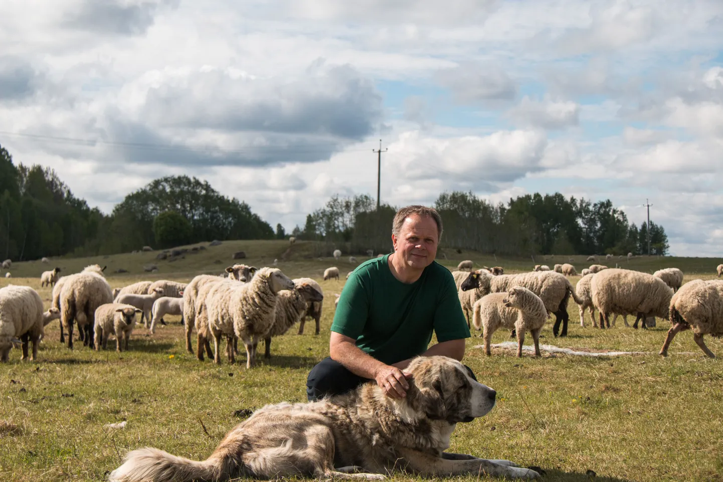 Koeru valla lambakasvataja Agu Mölter eelistaks riigi pakutavale rahale maa vahetamise võimalust. Riik soovib temalt osta 2,2-hektarilise sihtkaitsevööndi metsatüki, kus toimetavad metsised.