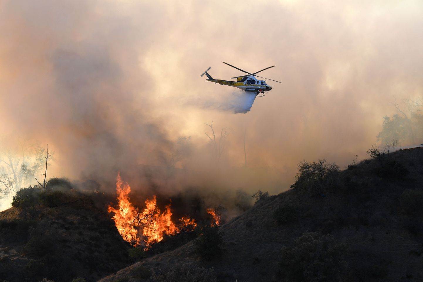 Savvaļas ugunsgrēks Kalifornijas štata ziemeļos