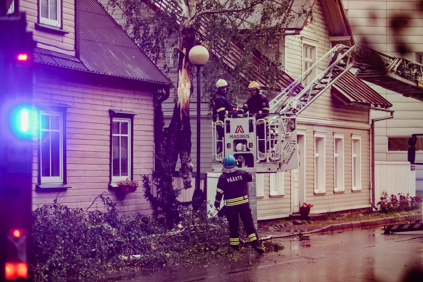 Torm Pärnus, mahakukkunud puu