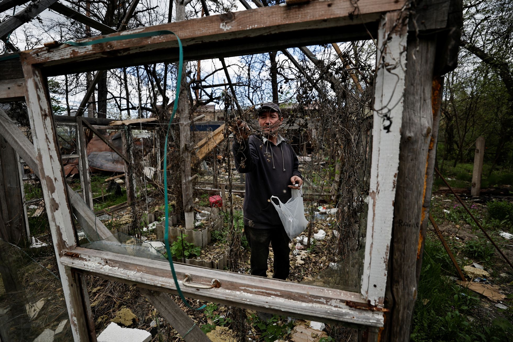 50-aastane Oleksi Sokoljuk korjab lilleseemneid oma purustatud maja juures hoovis Kiievi oblastis Irpinis.