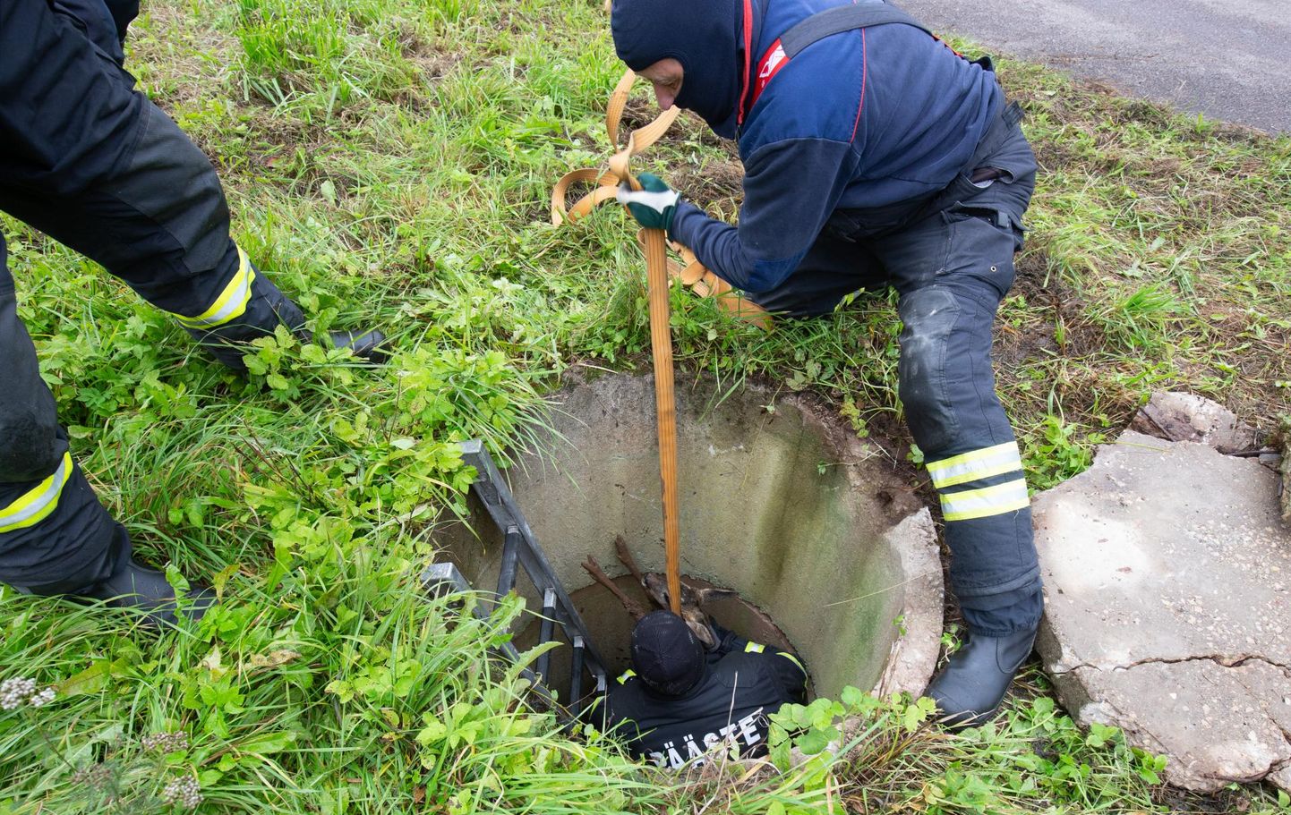 Sageli tuleb päästjatel kokku puutuda metskitsedega. Mullu sügisel tõttasid nad appi ka Viljandimaal Tänassilma külas kanalisatsioonikaevu kukkunud loomale.