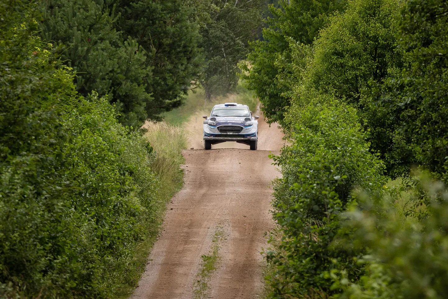 Poola ralliteed on vaatemängulised ja kiired. See pilt on 2017. aastast ning seda Fordi juhib Ott Tänak.