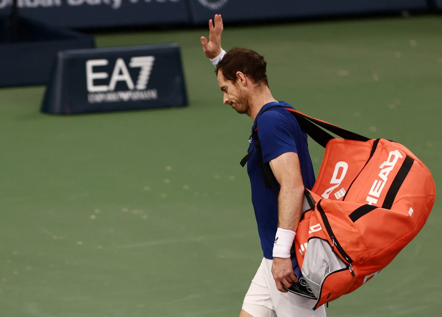 Andy Murray