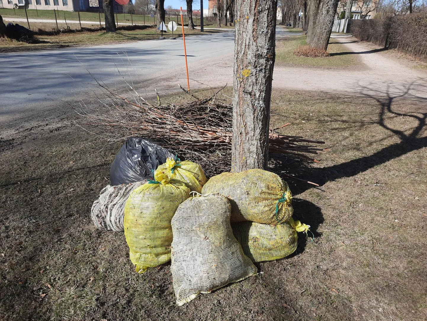 Viljandi Uueveski linnaosas käis pühapäeva hommikust pärastlõunani käbe töö, sest juba esmaspäeval tuleb auto aiajäätmetele järele.