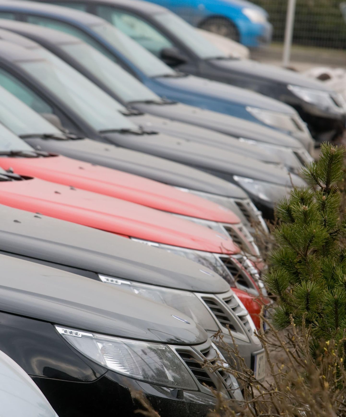 Pärnus müüdi eelmisel kuul 175 uut autot.