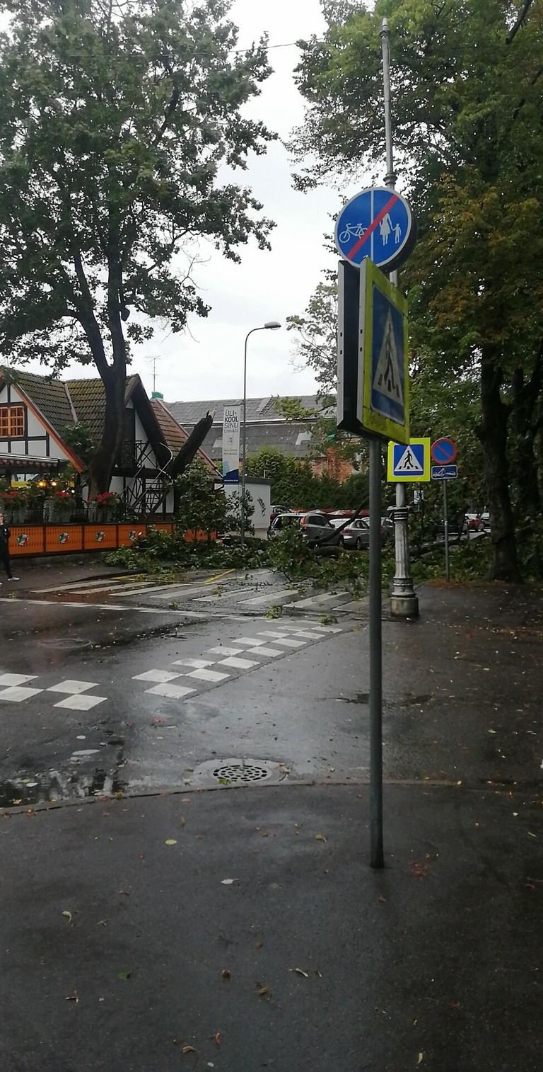 Pärnus tegi tuul pahandust Lõuna ja Nikolai tänava ristmiku lähikonnas.