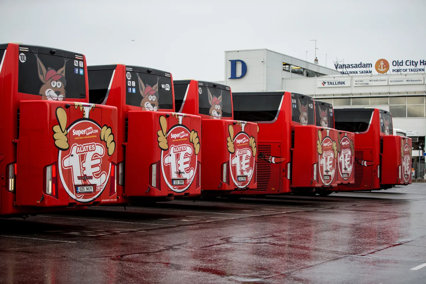 Superbusi bussid sõitmas mullu Helsingisse suunduvale Tallinki laevale.