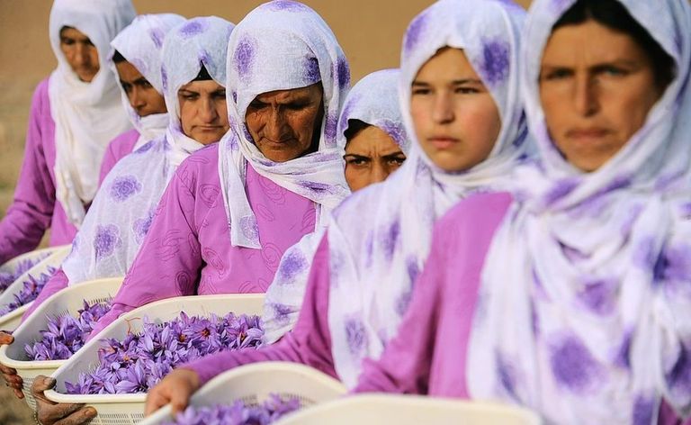 Уровень грамотности среди женщин в Афганистане - один из самых низких в мире