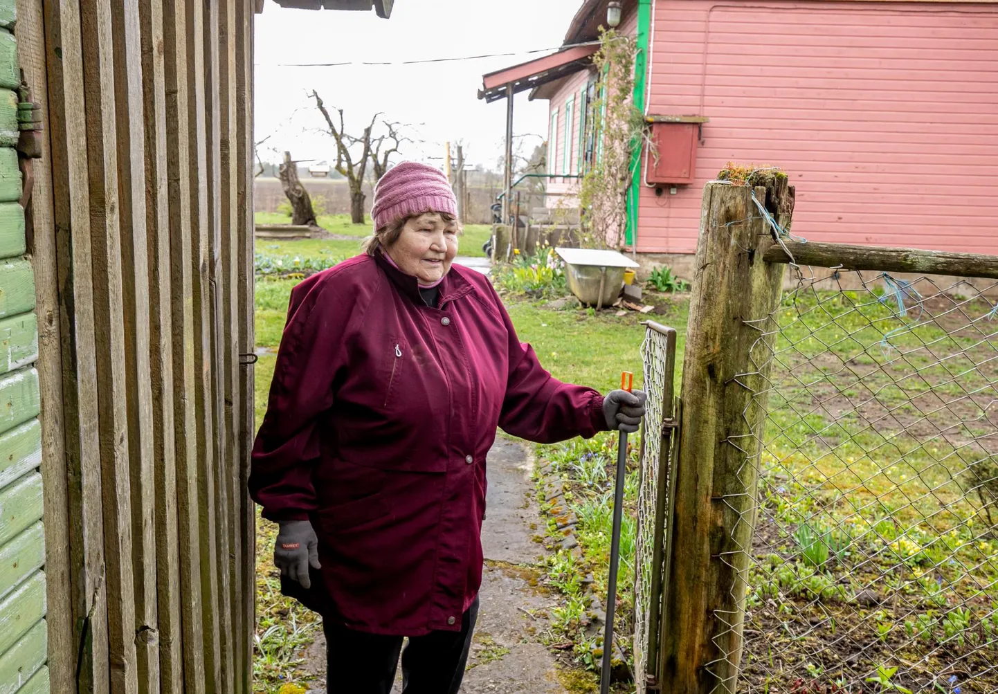 Peale kartulite annetas Pilvi Kaas toidupangale soolaseeni, kuivatatud õunu ja moosi.