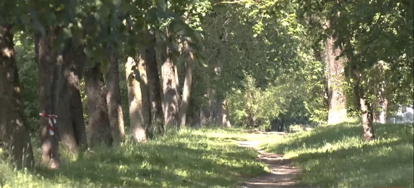 Аллея на улице Локомотивес