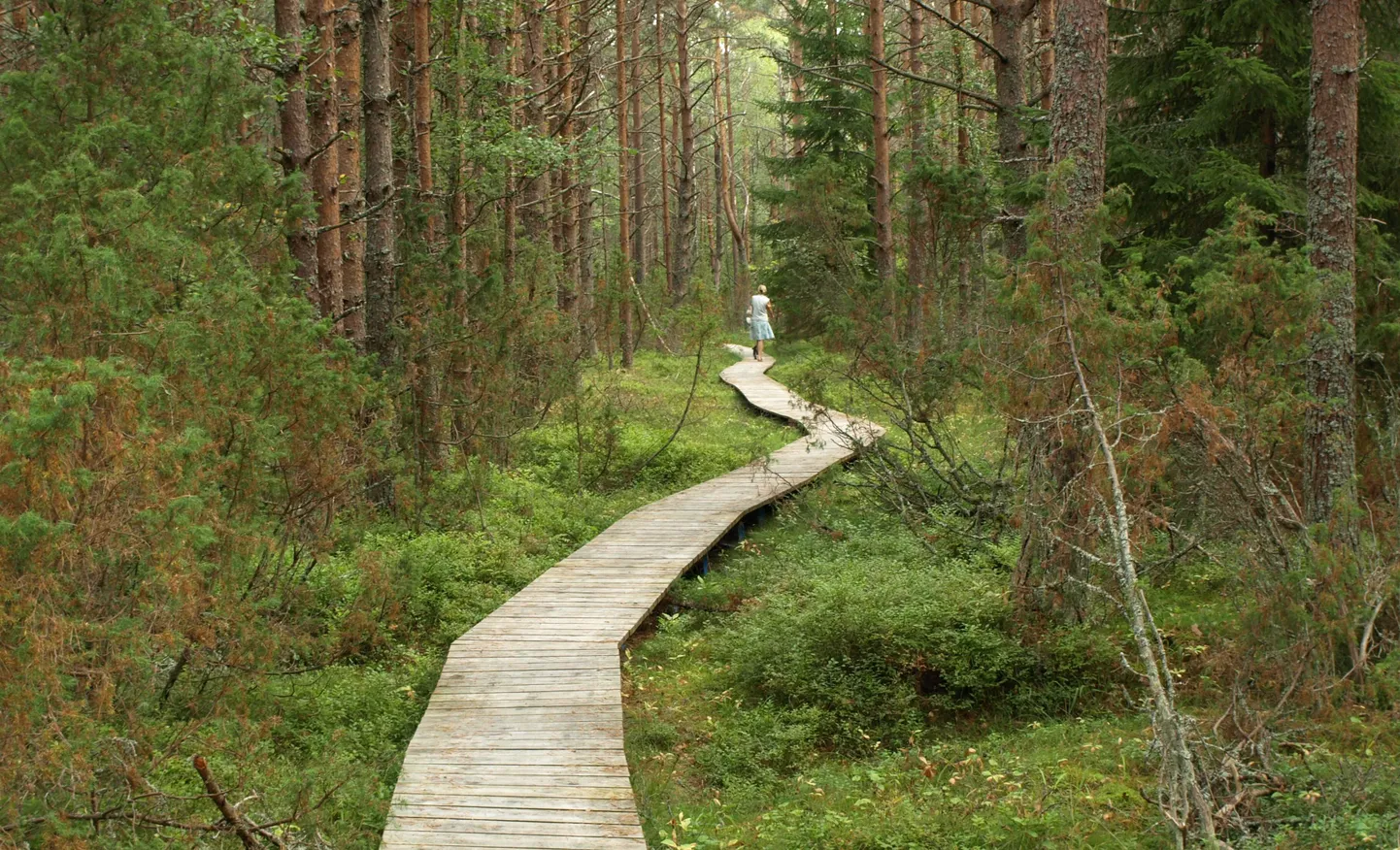 Tahkuna poolsaar.