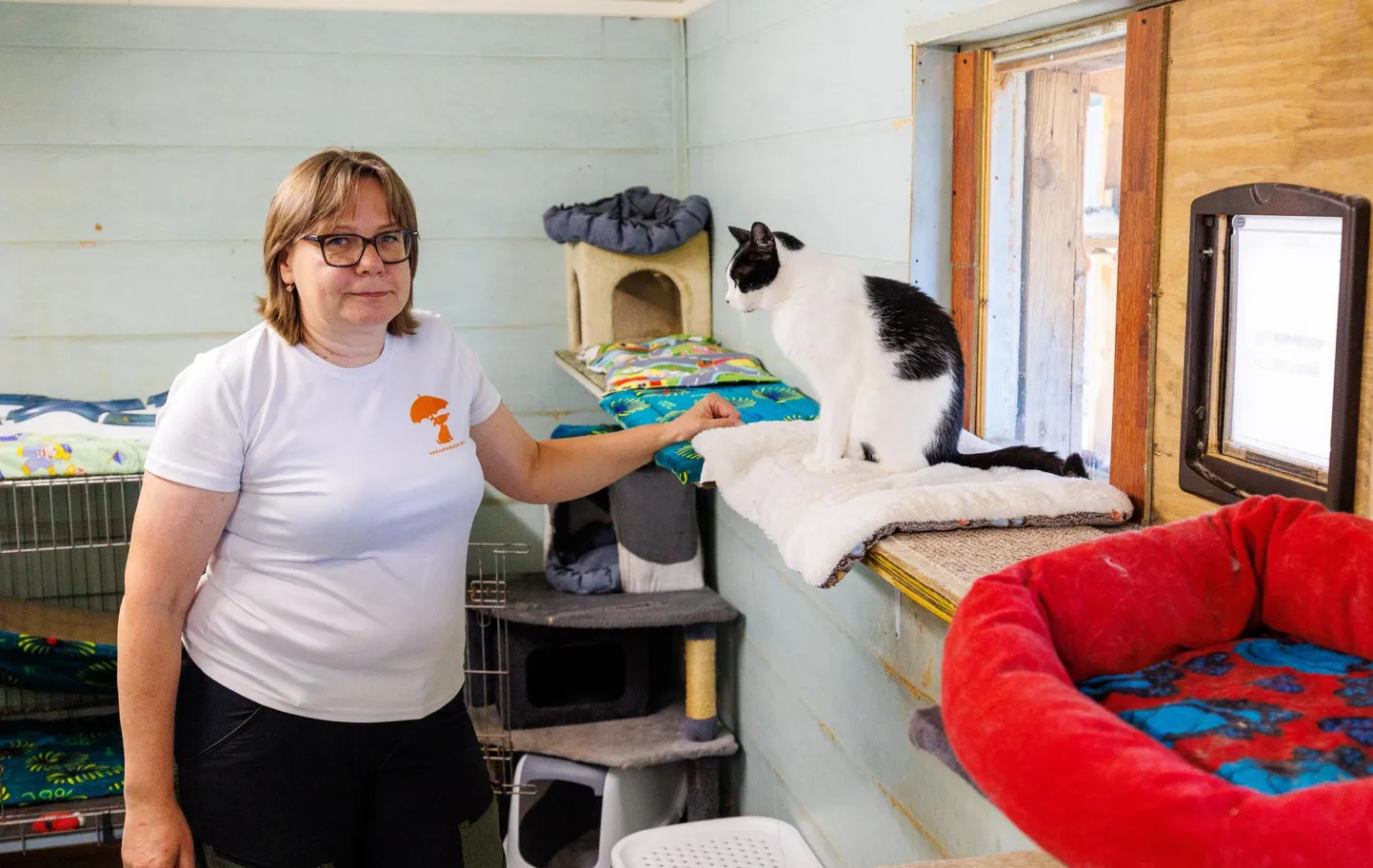 Jana Juhkami juhitava Valga varjupaiga hoolealused jäävad esialgu praegusesse asukohta uut kodu ootama.