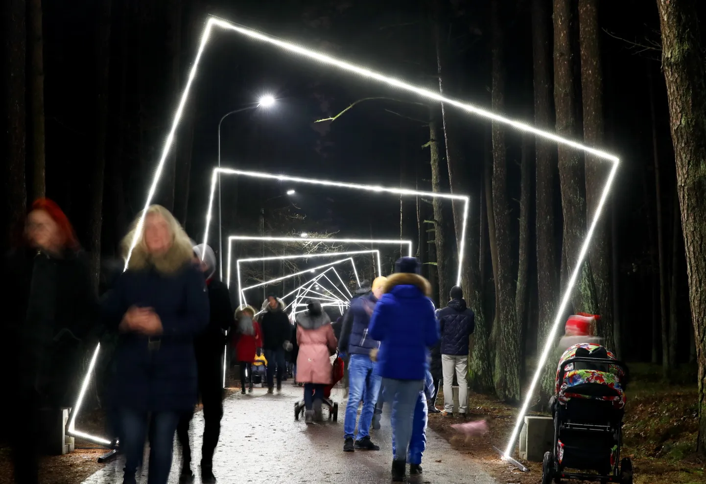 Svētku apgaismojums Anniņmuižas parkā