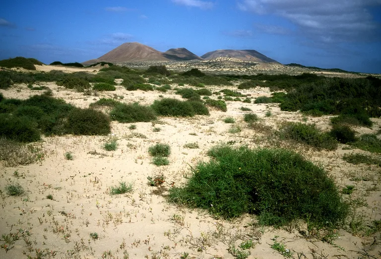 La Graciosa