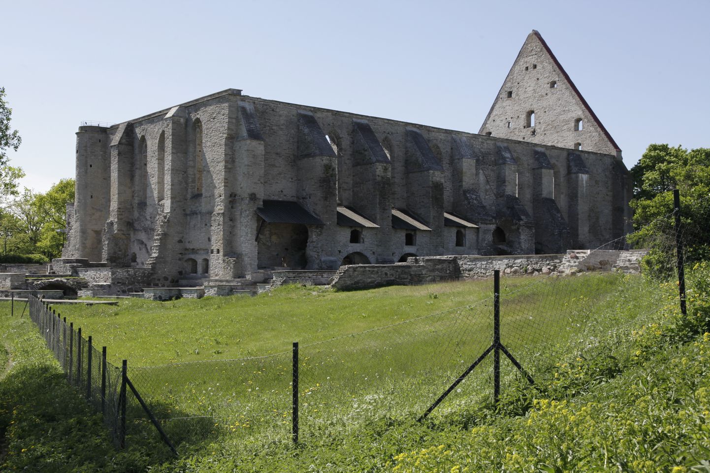 Pirita kloostri varemed.