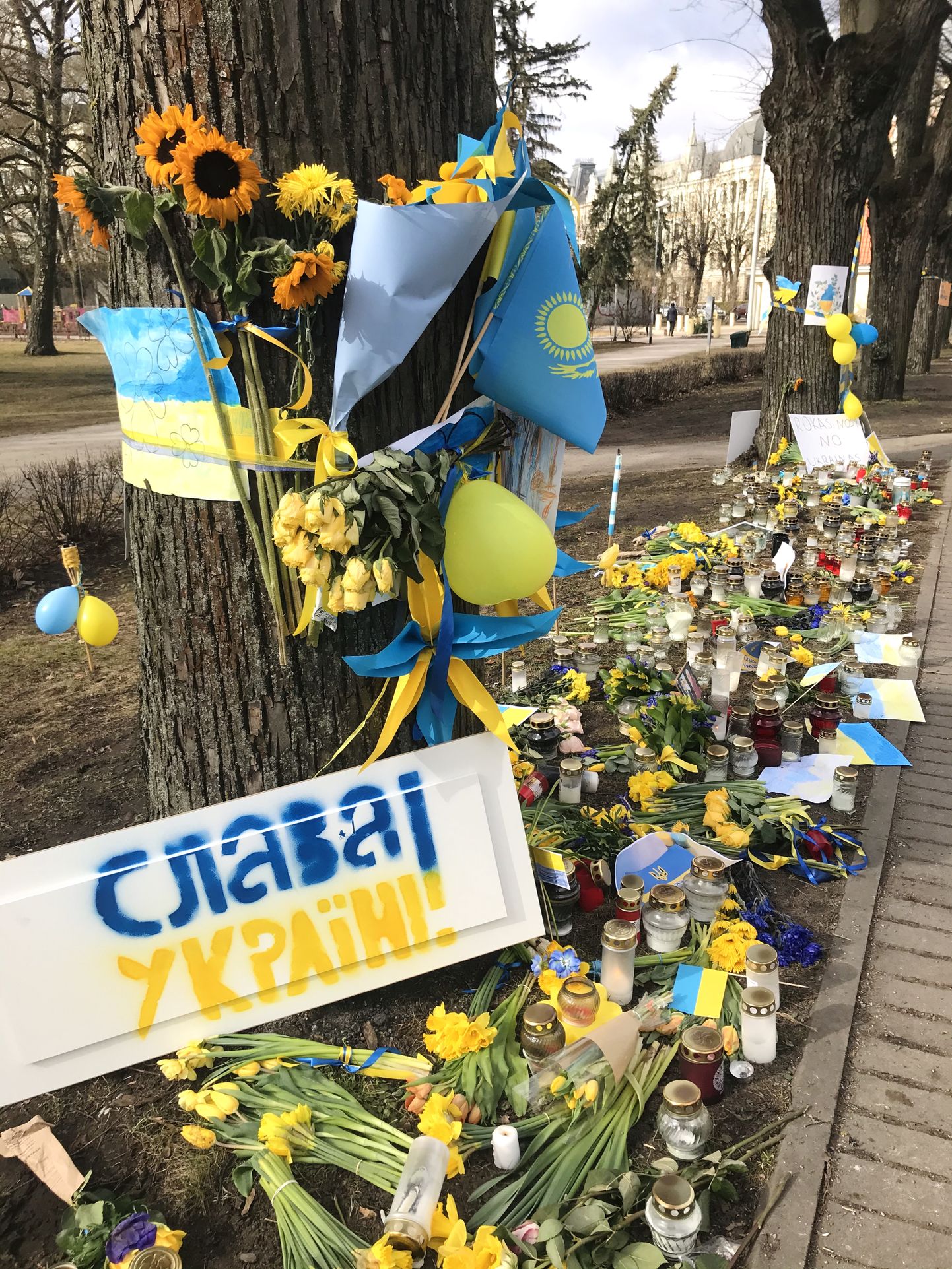 Напротив посольства Украины в Риге