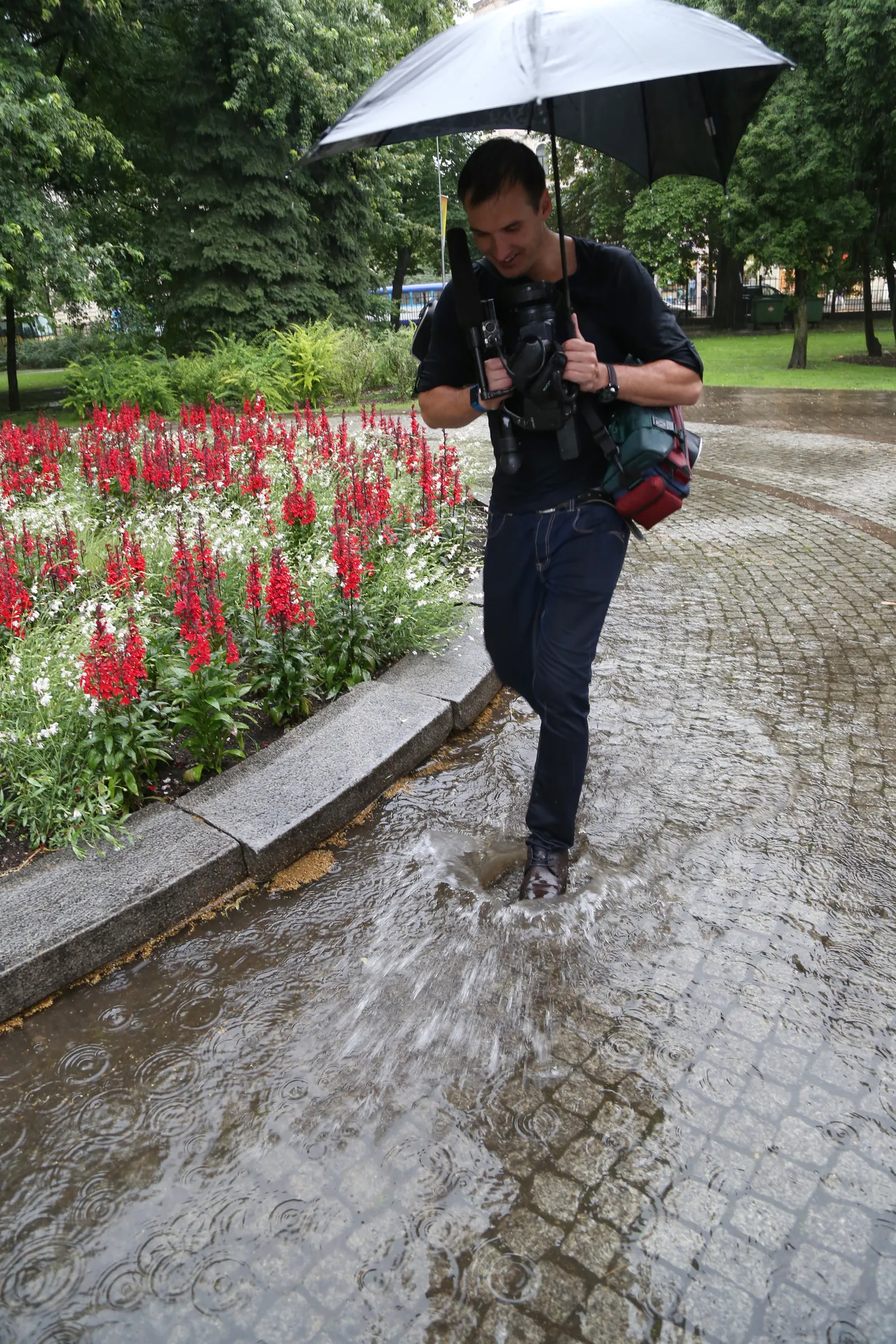 Фото статьи