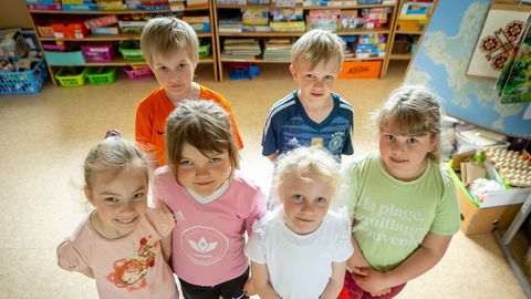 LAPSESUU ⟩ "Kui sa puugi sinna sisse saad, siis nad ju kodivad sealt välja!"