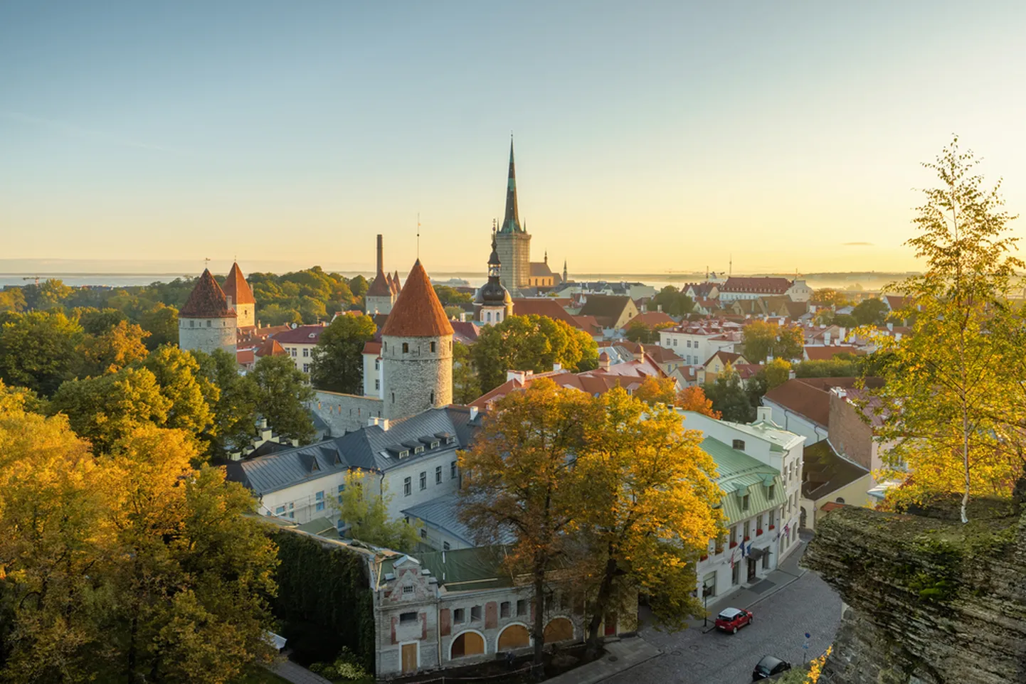 Фото статьи
