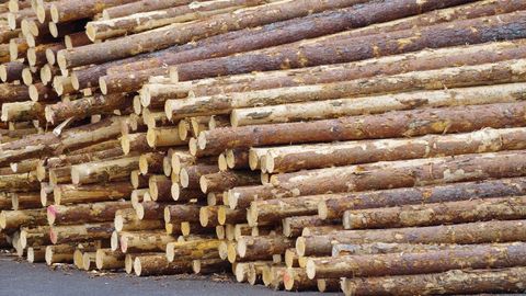 RMK laost varastati üksjagu puitu