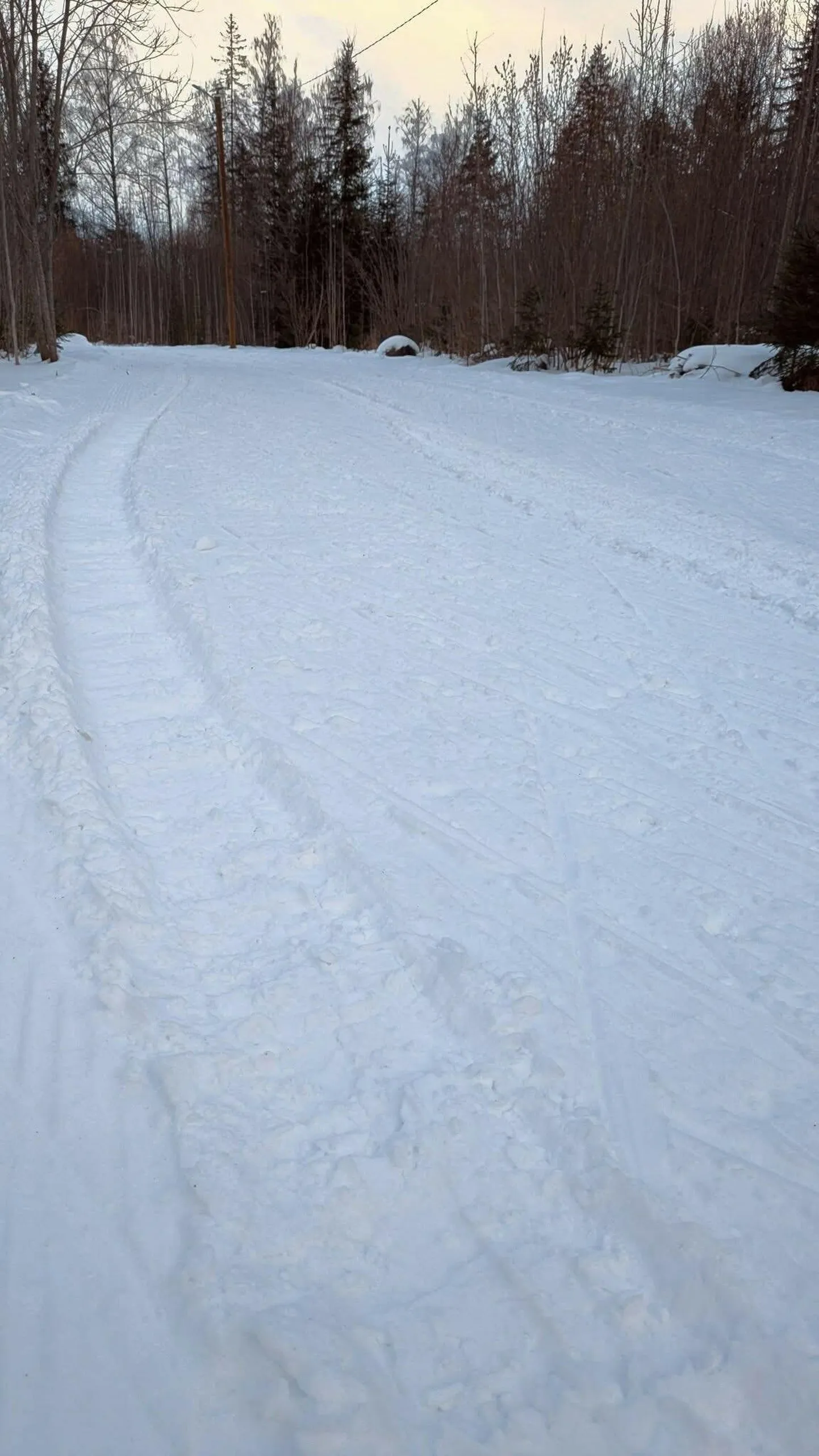 Autojäljed Sõmeru suusarajal.
