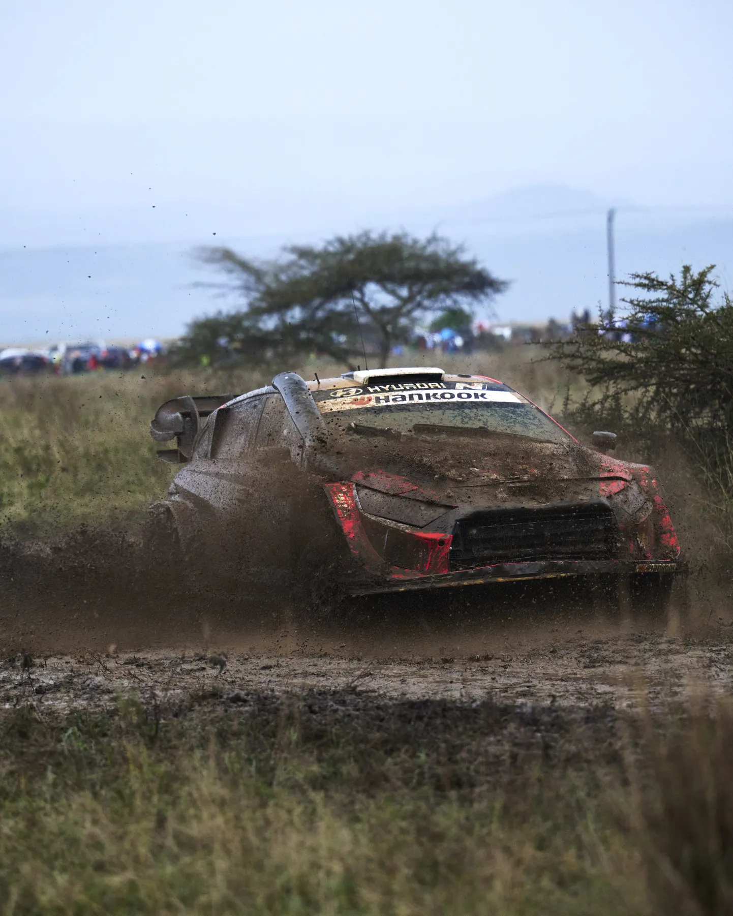 Ott Tänak ja Martin Järveoja.