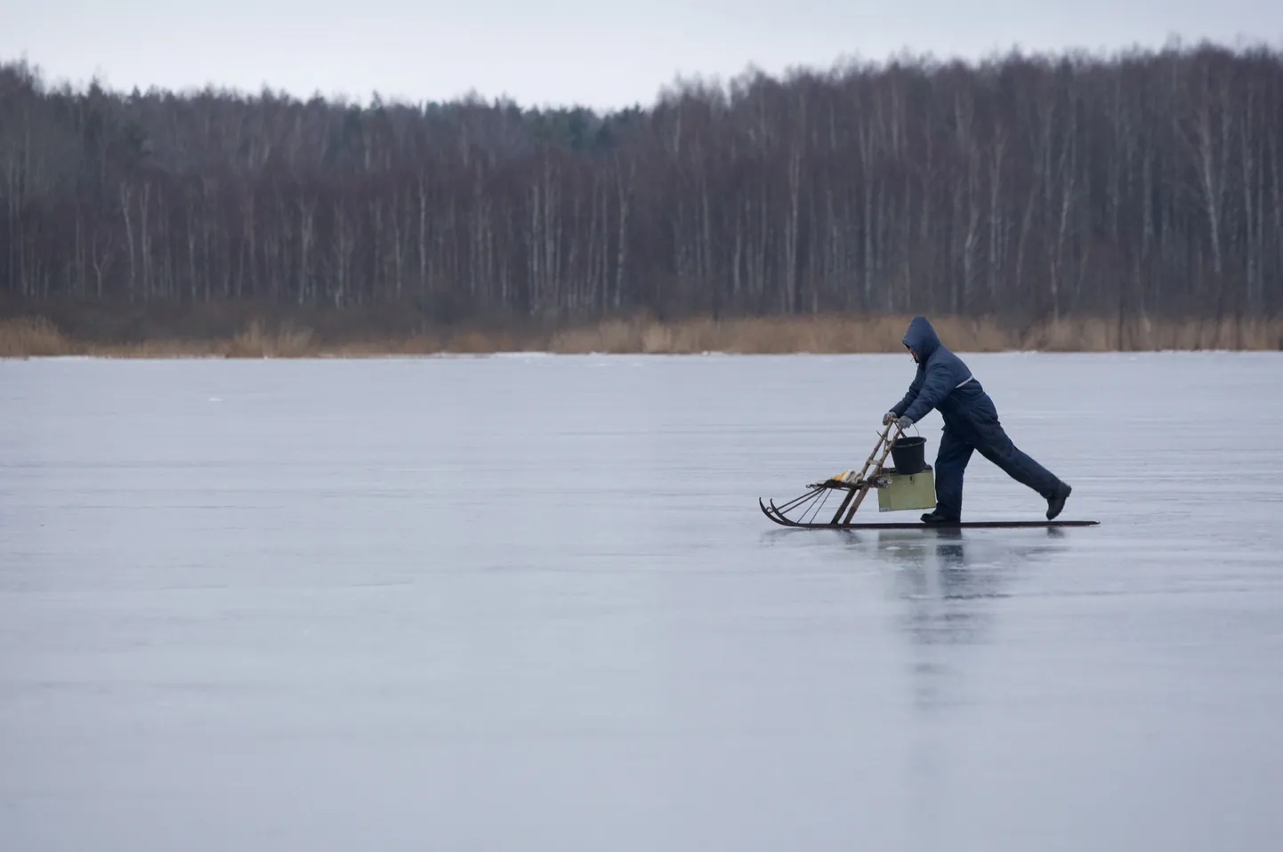 Kalamees järvejääl.