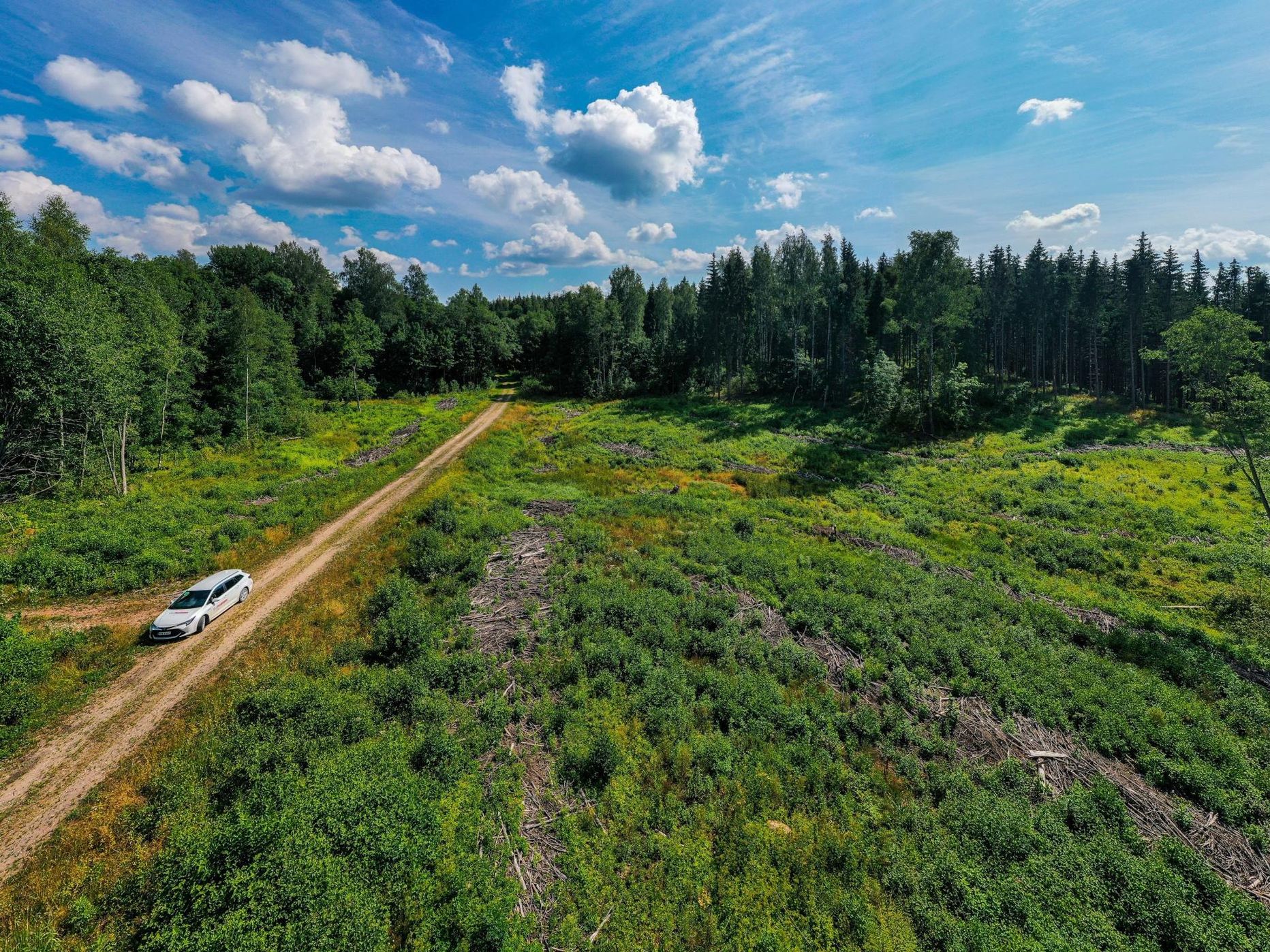 RMK lageraie riivas kaitsealuste liikide elupaiku Otepää looduspargis Natura 2000 alal.