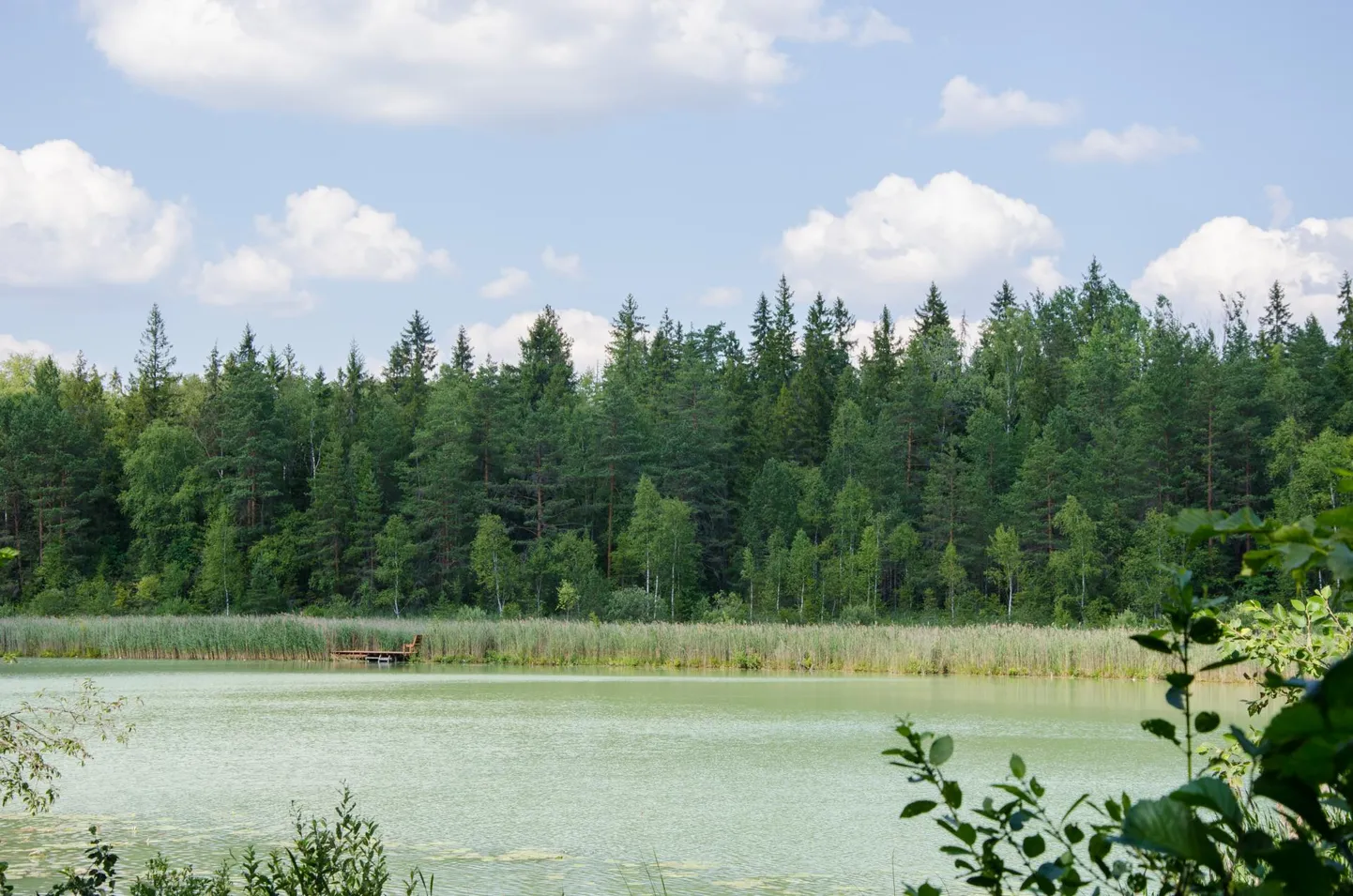 Eelmisel nädalal oli Sinialliku järv rohekashall.
