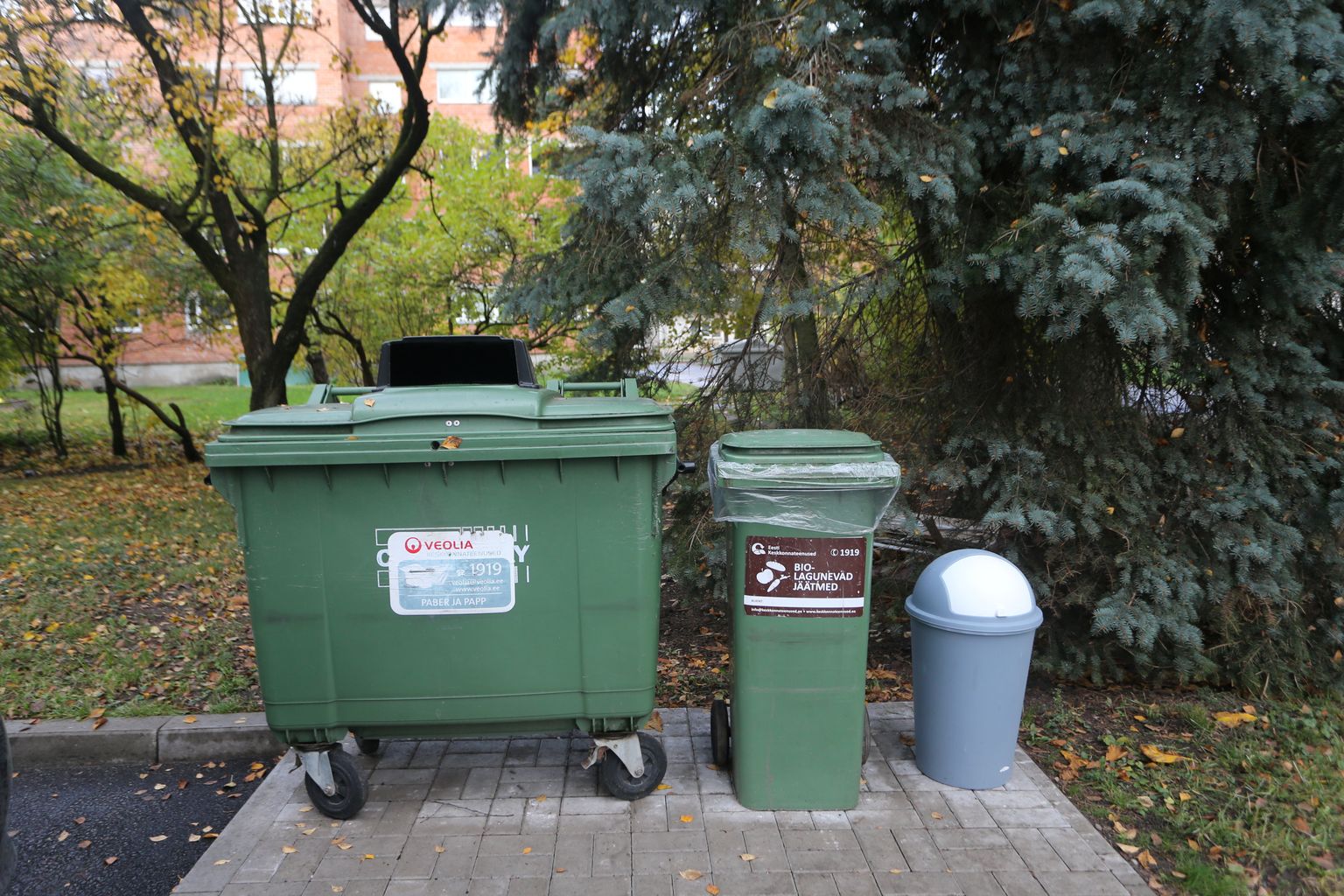 Pildil prügikastid Pikk 82 kinnistul.