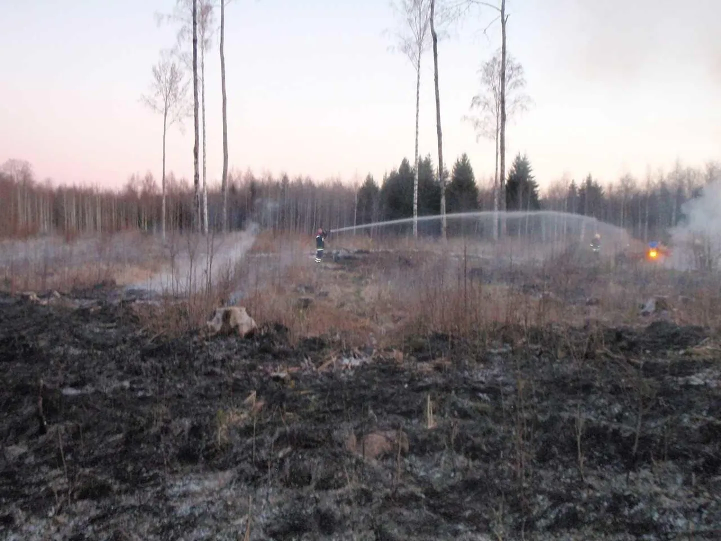 Sultsi külas oli metsapõleng. Foto on illustratiivne.