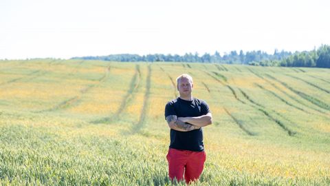 ВРЕДИТЕЛИ ⟩ Насекомые массово атакуют зерновые поля Эстонии