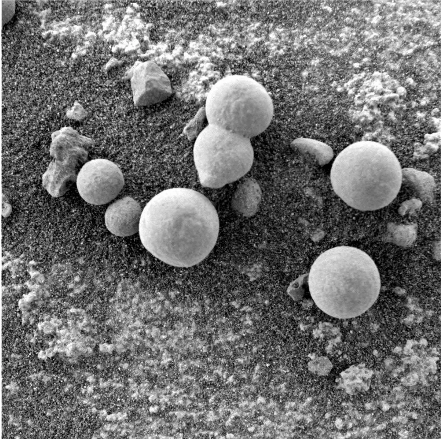 Opportunity-kulgurilt pildistatud 3-8 mm läbimõõduga objektid, mille ilmumine ja kadumine viitavat võimalikule elule