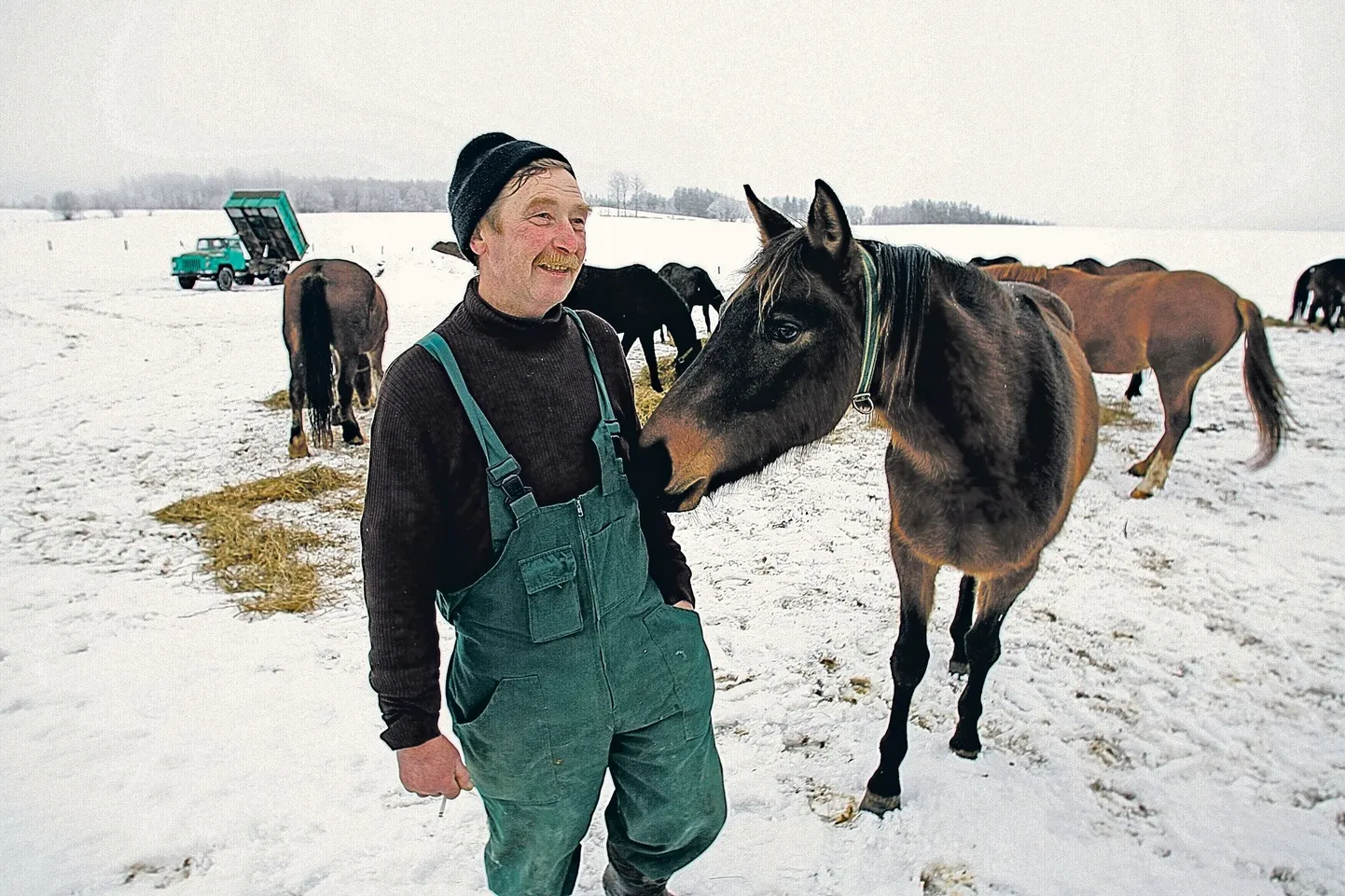 173 sentimeetrit pikk ja 88 kilo kerge Jüri Somelar oma hobuste keskel võrdluses endise Jüriga. Too Jüri all vasakul kaalus 150 kilo. Esimene Jüri ütleb, et tal on nüüd uus elu ja vanast elust ei igatse ta tagasi midagi.