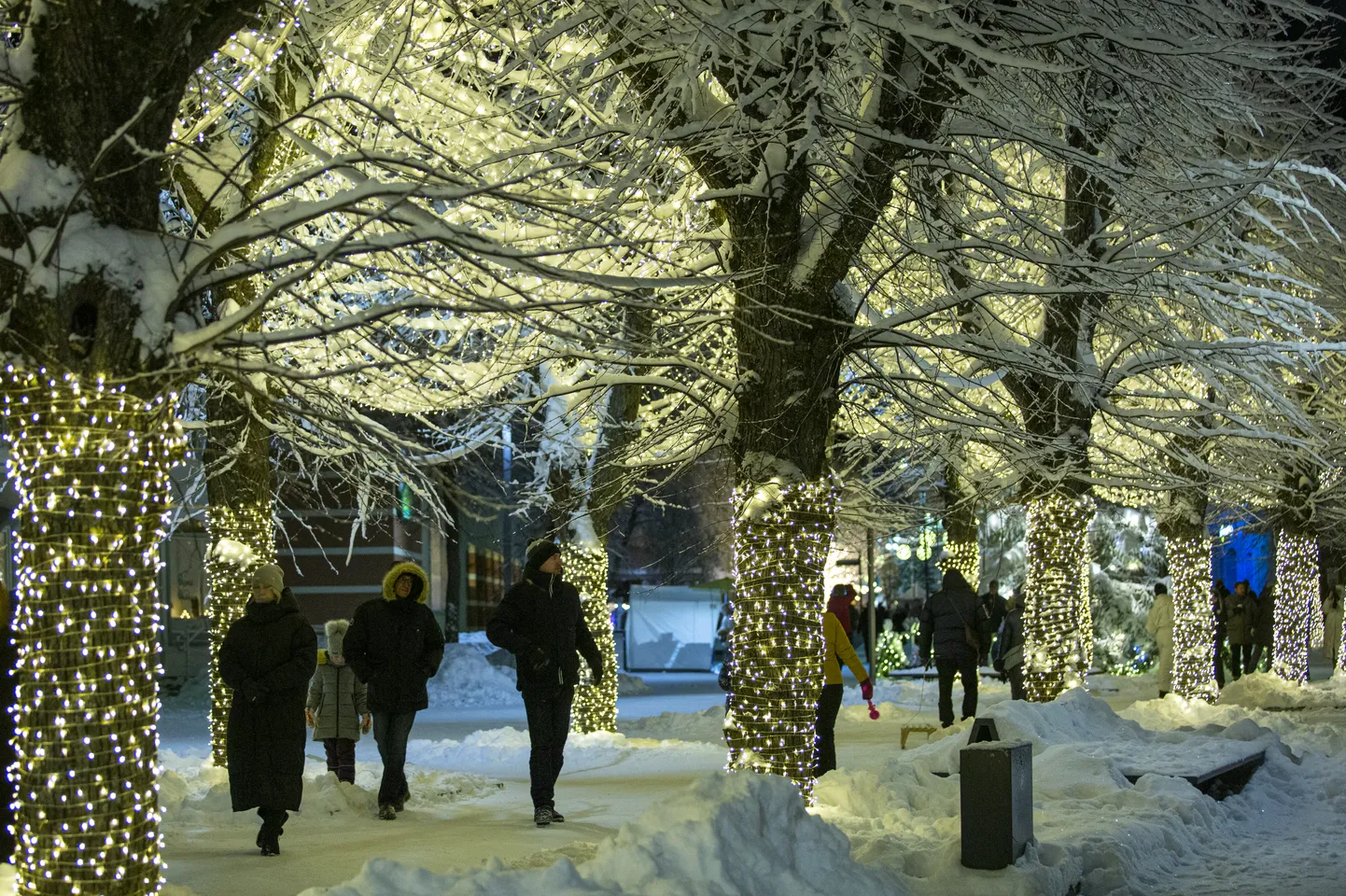 Фото статьи