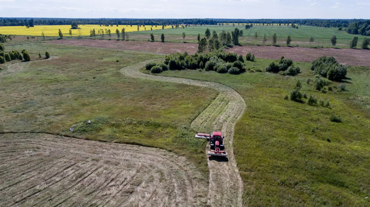 Rohumaade hooldamise nõuete täitmist kontrollitakse nii taotlejate juures kohapeal käies kui ka satelliitseire abil.