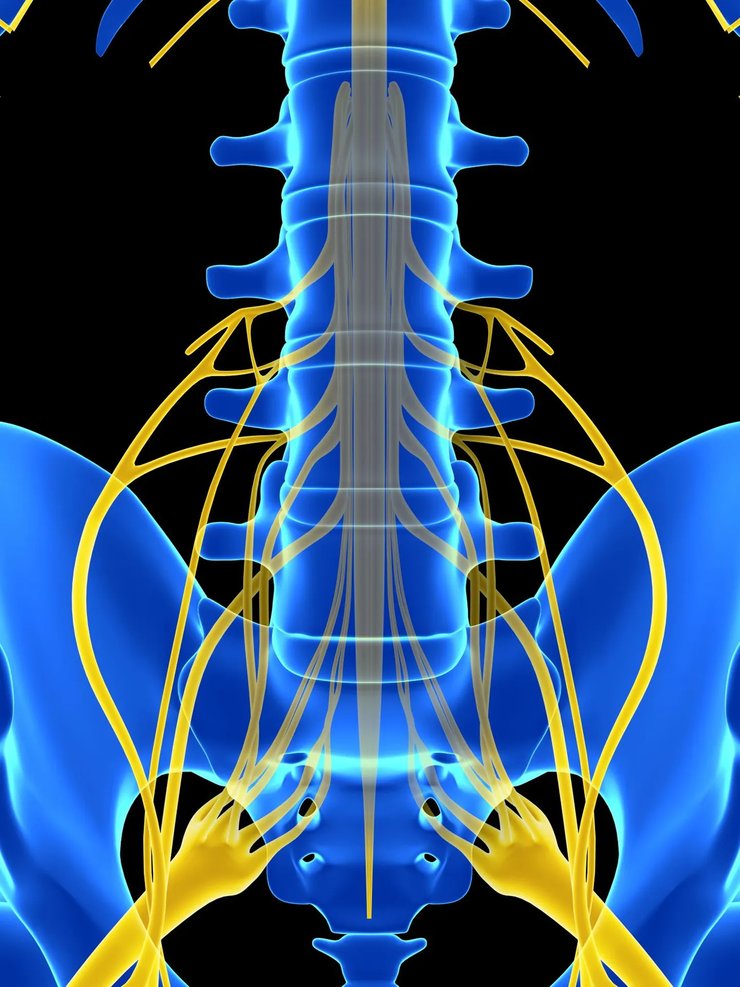 NovaGo Therapeutics Raises USD 30 Million for Spinal Cord Injury Trial