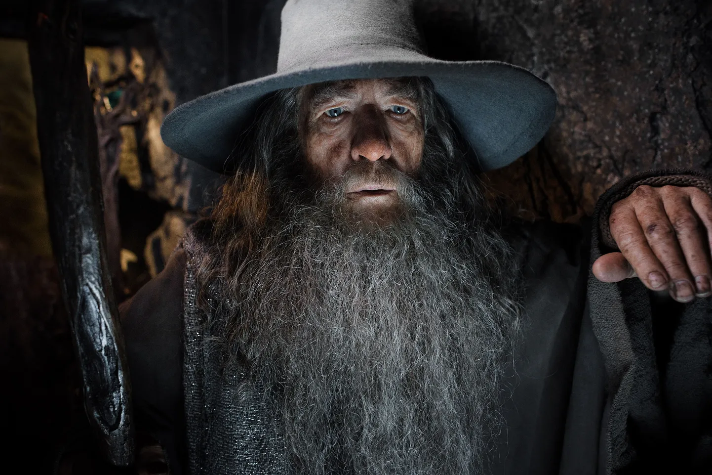 Ian McKellen, "The Hobbit: The Desolation of Smaug"